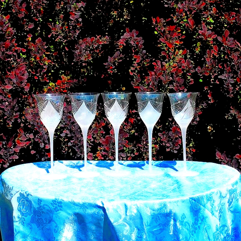 RARE!!VTG glasses Melinda long stem pink frosted Roman Cut wine glasses Lot of 5